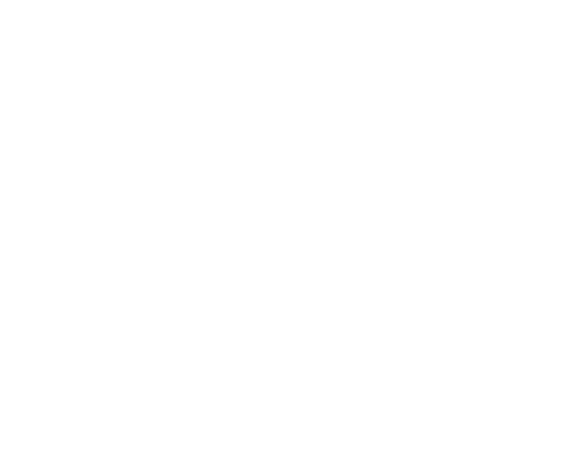 Incubadora Revenue